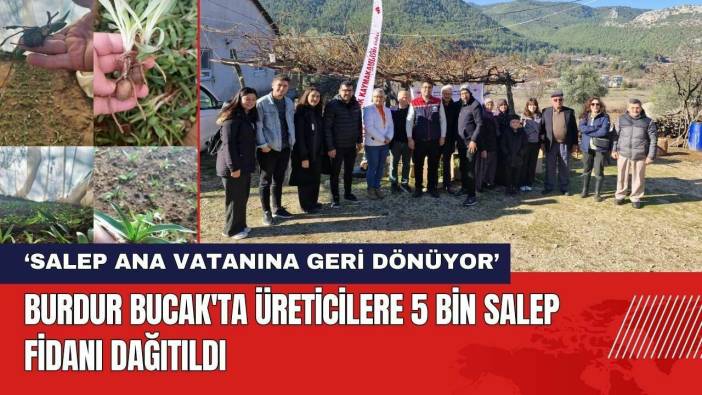 Burdur Bucak'ta Üreticilere 5 Bin Salep Fidanı Dağıtıldı
