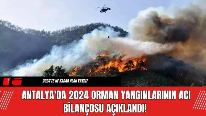 Antalya'da 2024 Orman Yangınlarının Acı Bilançosu Açıklandı!