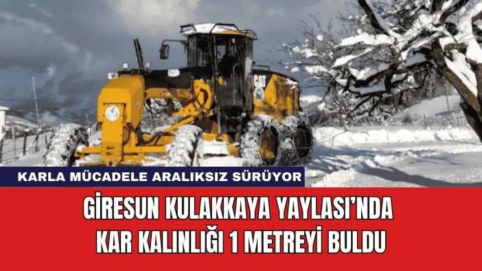 Giresun Kulakkaya Yaylası’nda Kar Kalınlığı 1 Metreyi Buldu