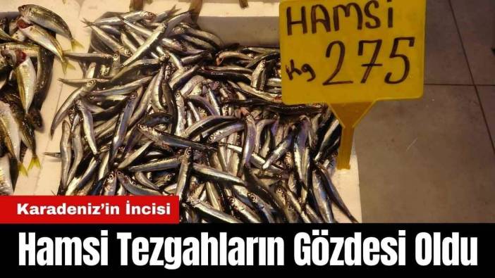 Karadeniz’in İncisi Hamsi Tezgahların Gözdesi Oldu