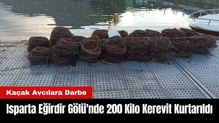 Isparta Eğirdir Gölü'nde 200 Kilo Kerevit Kurtarıldı