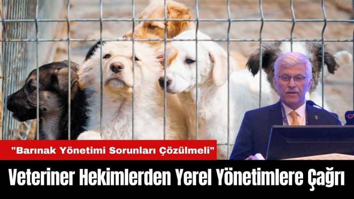 Veteriner Hekimlerden Yerel Yönetimlere Çağrı