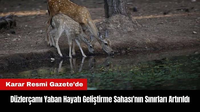 Antalya Düzlerçamı Yaban Hayatı Geliştirme Sahası'nın Sınırları Artırıldı