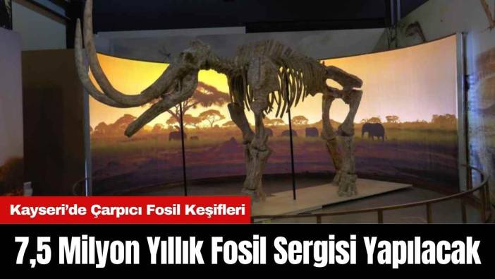 Kayseri’de 7,5 Milyon Yıllık Fosil Sergisi Yapılacak
