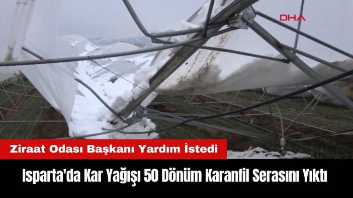Isparta'da Kar Yağışı 50 Dönüm Karanfil Serasını Yıktı!