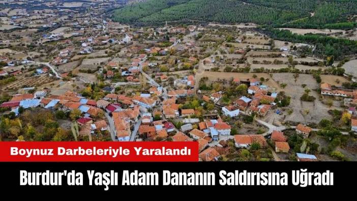 Burdur'da Yaşlı Adam Dananın Saldırısına Uğradı