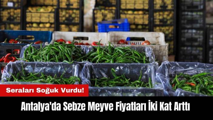 Seraları Soğuk Vurdu! Antalya'da Sebze Meyve Fiyatları İki Kat Arttı