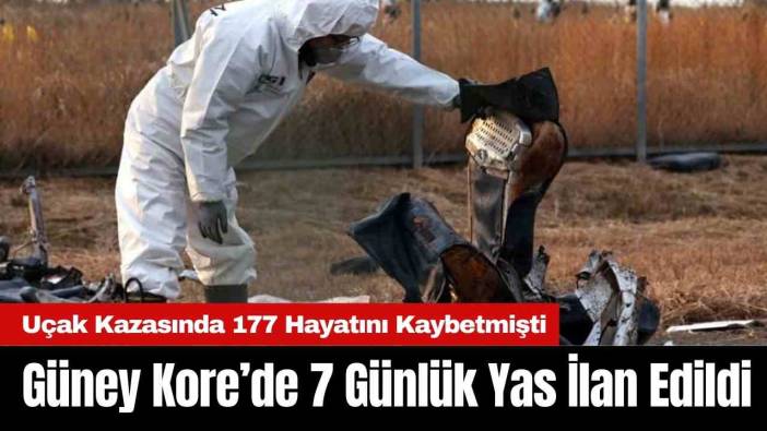 Güney Kore’deki Uçak Kazası Sonrası 7 Günlük Yas İlan Edildi