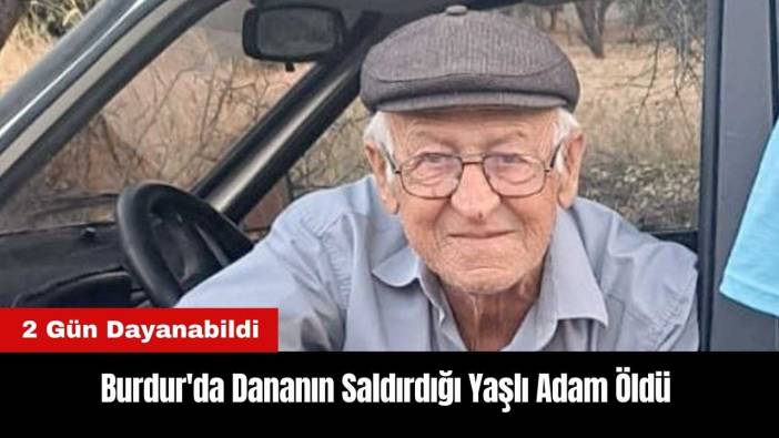 Burdur'da Dananın Saldırdığı Yaşlı Adam Öldü
