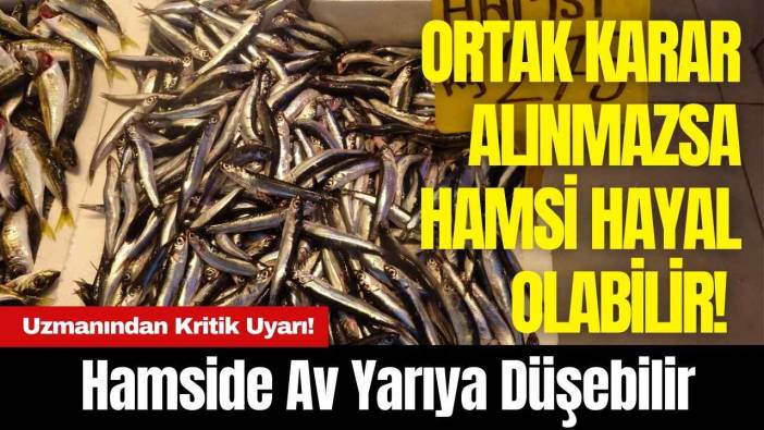 Uzmanından Kritik Uyarı! Hamside Av Yarıya Düşebilir