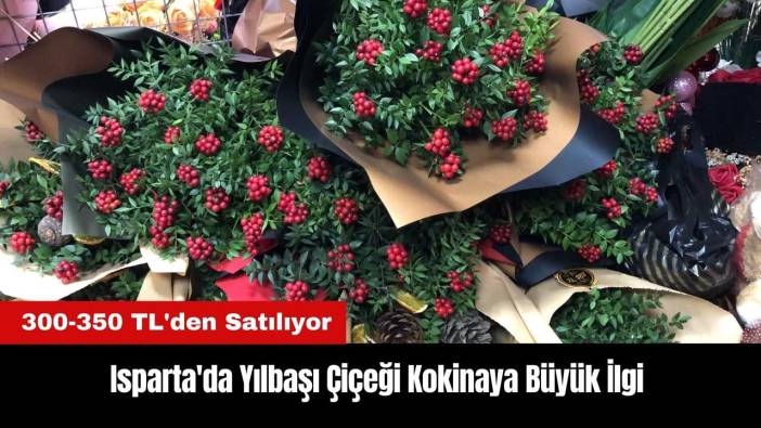 Isparta'da Yılbaşı Çiçeği Kokinaya Büyük İlgi
