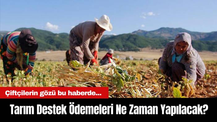 Tarım Destek Ödemeleri Ne Zaman Yapılacak? Çiftçilerin gözü bu haberde...