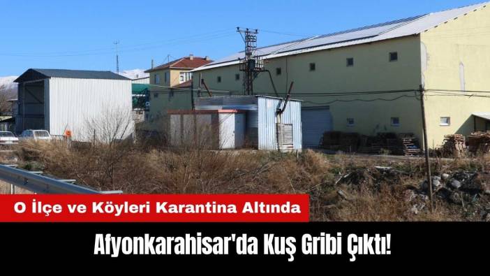 Afyonkarahisar'da Kuş Gribi Çıktı! O İlçe ve Köyler Karantina Altında