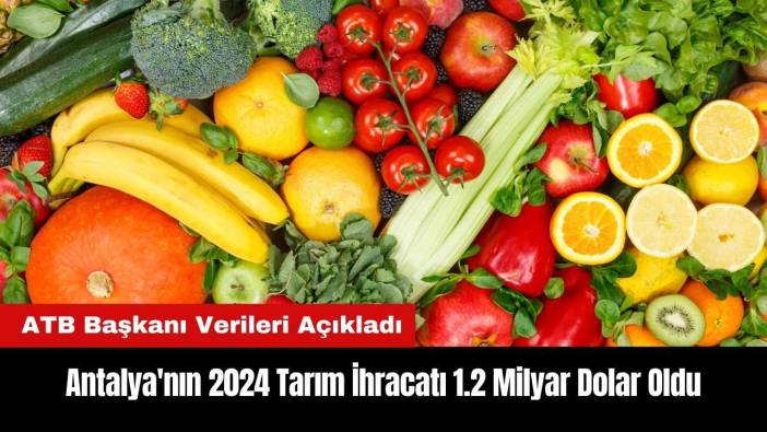 Antalya'nın 2024 Tarım İhracatı 1.2 Milyar Dolar Oldu