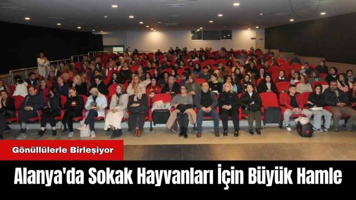 Alanya'da Sokak Hayvanları İçin Büyük Hamle