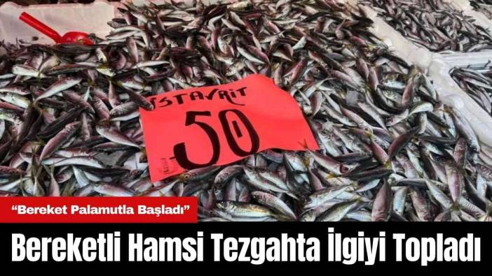 Bereketli Hamsi Tezgahta İlgiyi Topladı