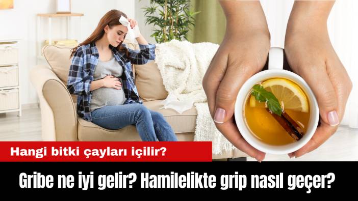 Gribe ne iyi gelir? Hamilelikte grip nasıl geçer? Hangi bitki çayları içilir?