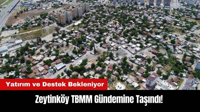 Zeytinköy TBMM Gündemine Taşındı! Yatırım ve Destek Bekleniyor