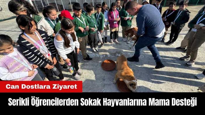 Serikli Öğrencilerden Sokak Hayvanlarına Mama Desteği