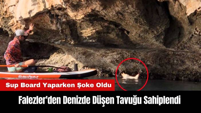 Falezler'de Sup Board Yaparken Denizde Bulduğu Tavuğu Sahiplendi