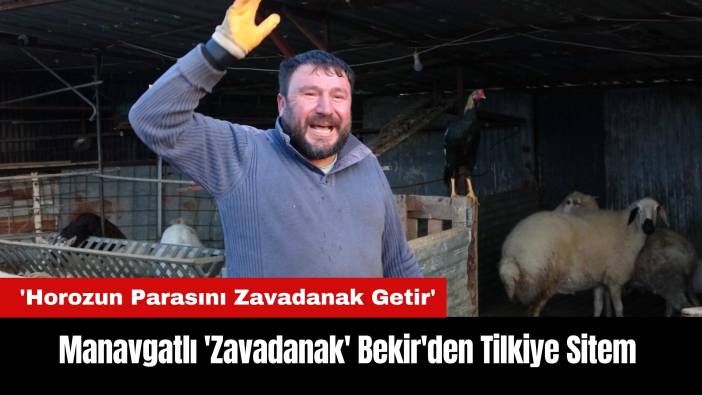 Manavgatlı 'Zavadanak' Bekir'den Horozunu Kapan Tilkiye Sitem!