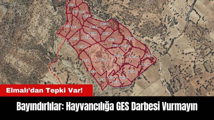 Elmalı'da Bayındırlılar İsyan Etti: Hayvancılığa GES Darbesi Vurmayın