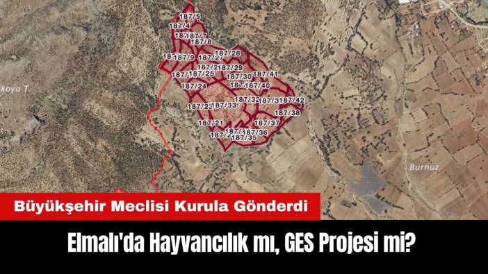 Elmalı'da Hayvancılık mı, GES Projesi mi? Son Kararı Kurul Verecek