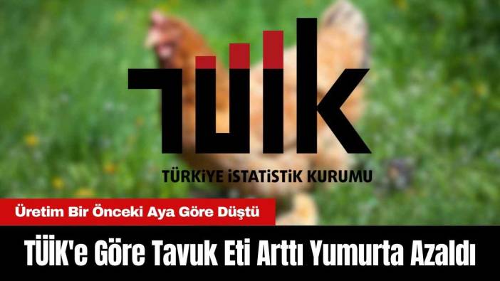 TÜİK'e Göre Tavuk Eti Arttı Yumurta Azaldı