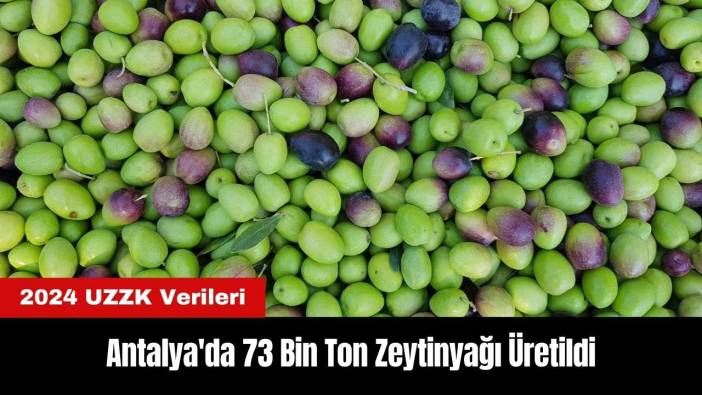 Antalya'da 73 Bin Ton Zeytinyağı Üretildi