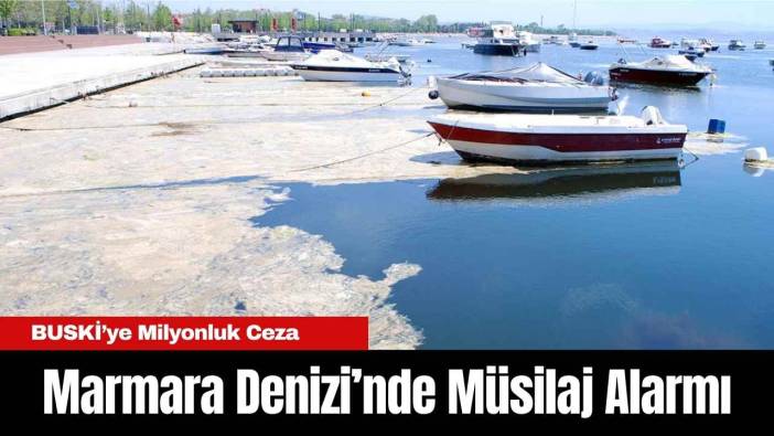 Marmara Denizi’nde Müsilaj Alarmı: BUSKİ’ye Milyonluk Ceza
