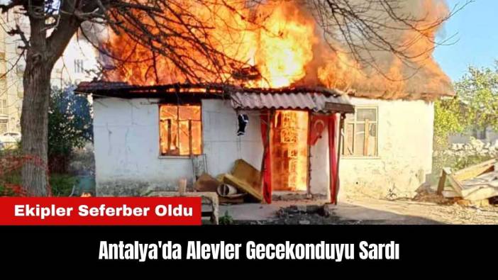 Antalya'da Alevler Gecekonduyu Sardı