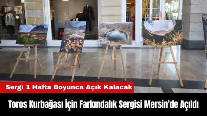 Toros Kurbağası İçin Farkındalık Sergisi Mersin'de Açıldı
