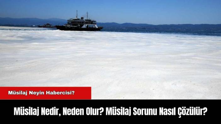 Müsilaj Nedir, Neden Olur? Müsilaj Sorunu Nasıl Çözülür?