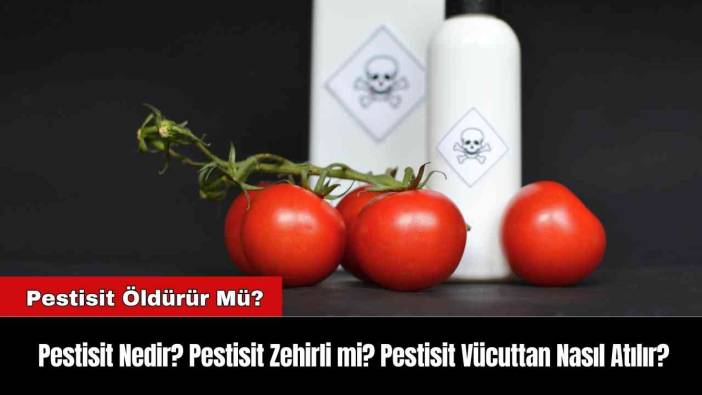 Pestisit Nedir? Pestisit Zehirli mi? Pestisit Vücuttan Nasıl Atılır?