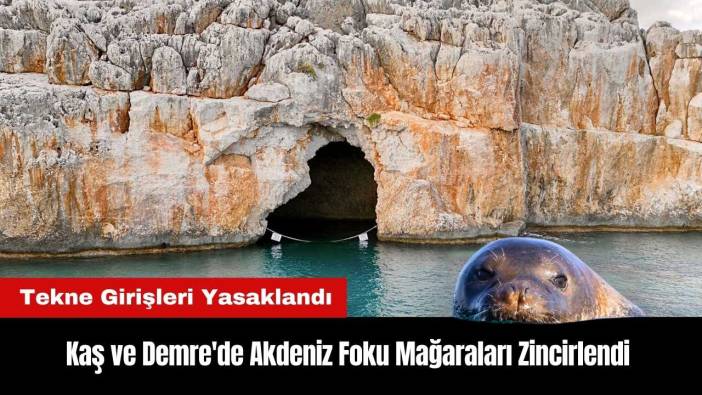 Kaş ve Demre'de Akdeniz Foku Mağaraları Zincirlendi