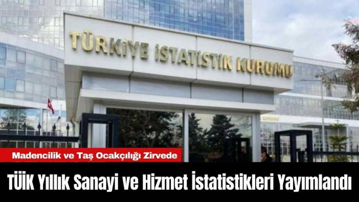 TÜİK Yıllık Sanayi ve Hizmet İstatistikleri Yayımlandı