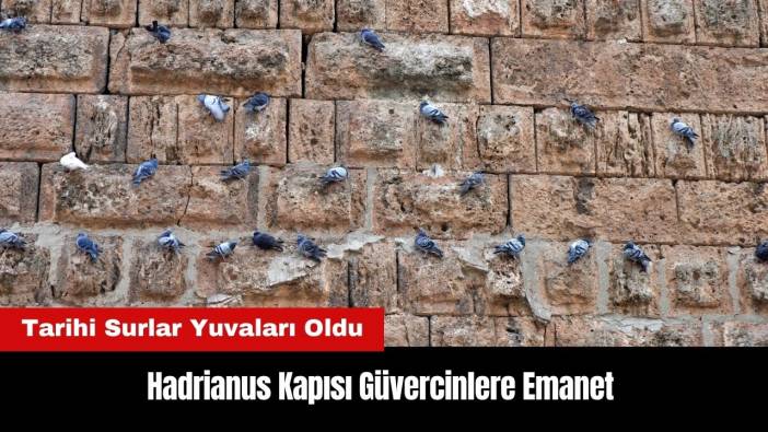 Antalya'daki Hadrianus Kapısı Güvercinlere Emanet