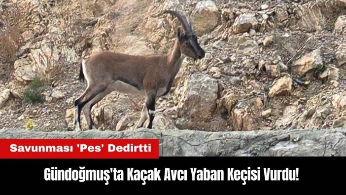 Gündoğmuş'ta Yaban Keçisi Vurdu! Savunması 'Pes' Dedirtti