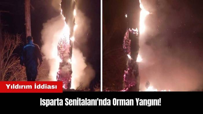 Isparta Senitalanı'nda Orman Yangını! Yıldırım İddiası