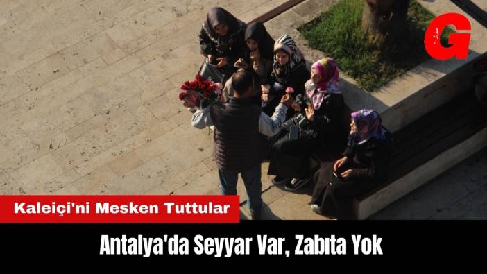 Antalya'da Seyyar Var Zabıta Yok! Kaleiçi'ni Mesken Tuttular