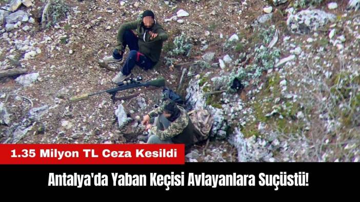 Antalya'da Yaban Keçisi Avlayanlara 1.35 Milyon TL Ceza!