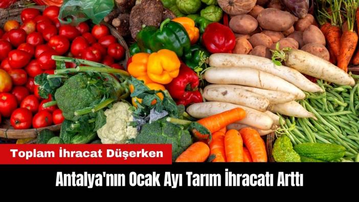Antalya'nın Ocak Ayı Tarım İhracatı Arttı