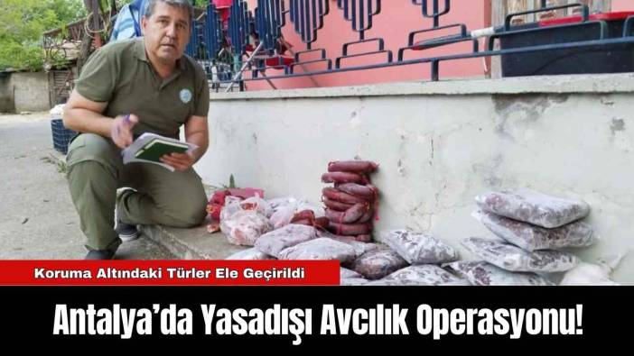 Antalya’da Yasadışı Avcılık Operasyonu!