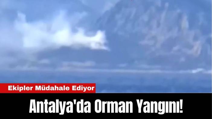 Antalya'da Orman Yangını! Ekipler Müdahale Ediyor