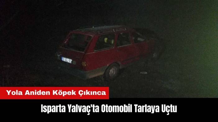 Isparta Yalvaç'ta Otomobil Tarlaya Uçtu
