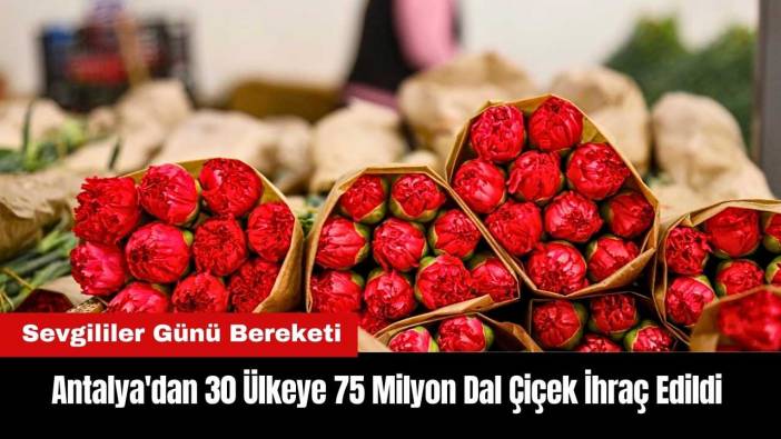 Antalya'dan 30 Ülkeye 75 Milyon Dal Çiçek İhraç Edildi