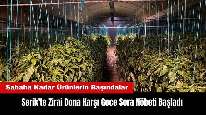 Serik'te Zirai Dona Karşı Gece Sera Nöbeti Başladı