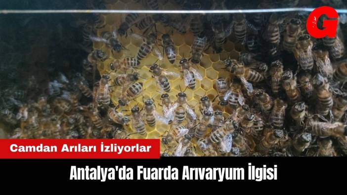 Antalya'da Fuarda Arıvaryum İlgisi