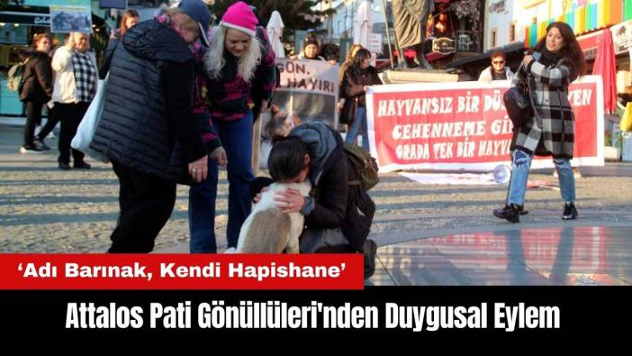 Attalos Pati Gönüllüleri'nden Duygusal Eylem