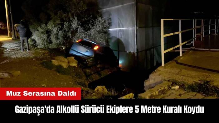 Gazipaşa'da Muz Serasına Daldı! Ekiplere 5 Metre Kuralı Koydu